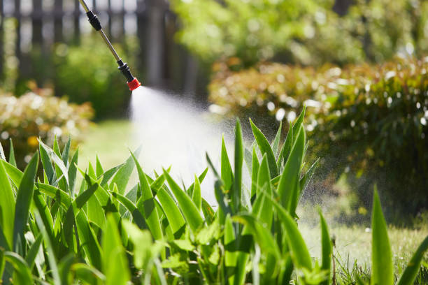 Tamper-Resistant Bait Stations for Rodents in Pella