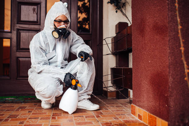 Attic and Crawl Space Rodent Treatment in Pella